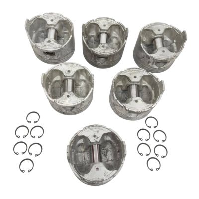 PISTON WITH PIN