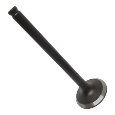 VALVE EXHAUST