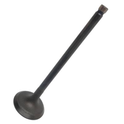 VALVE EXHAUST