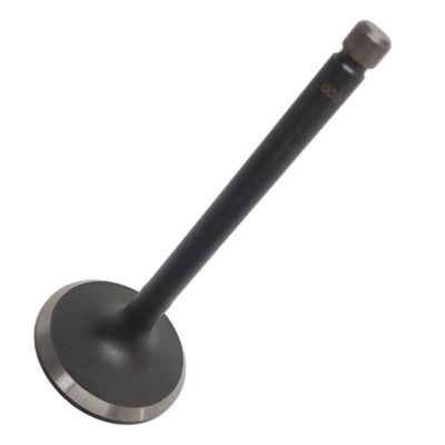 VALVE EXHAUST
