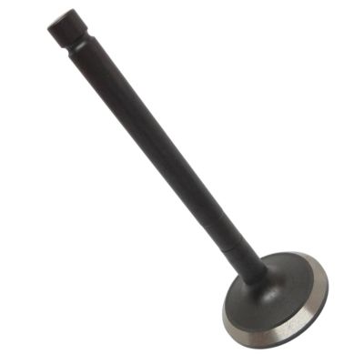 VALVE EXHAUST