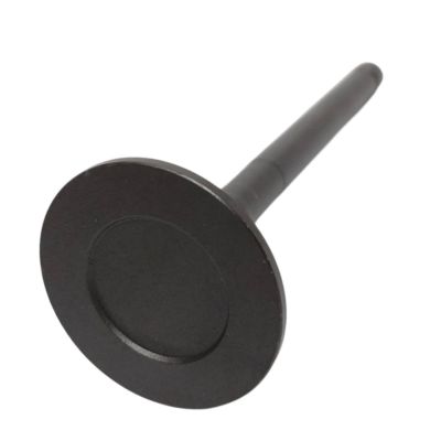 VALVE EXHAUST