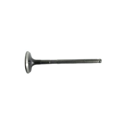 VALVE EXHAUST
