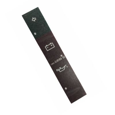 PANEL LENS