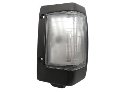 LAMP ASSY-SIDE FLASHER RH