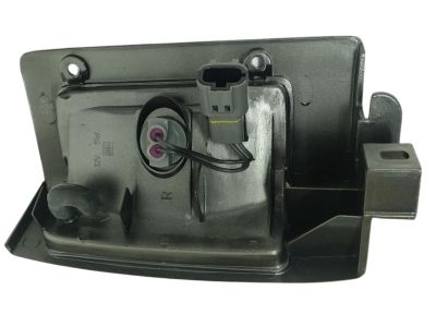 LAMP ASSY-SIDE FLASHER RH