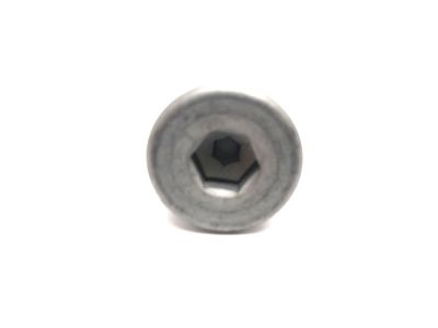 DRAIN PLUG
