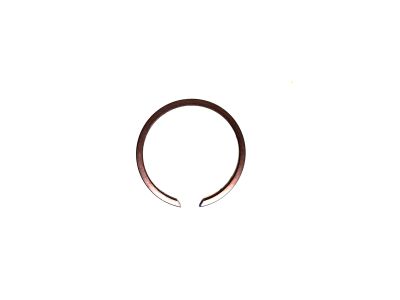 RING-SNAP