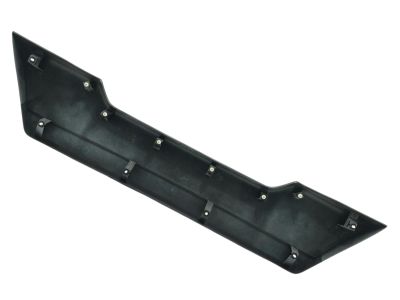 REAR DOOR MOLDING