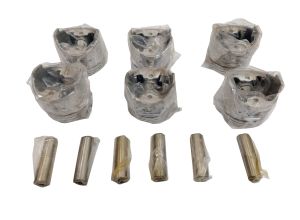 PISTON WITH PIN