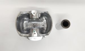 PISTON WITH PIN