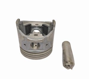 PISTON WITH PIN