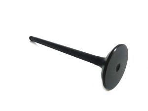 VALVE EXHAUST