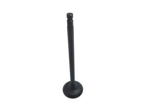 VALVE EXHAUST