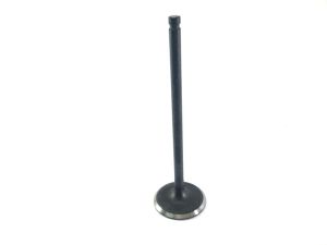 VALVE EXHAUST