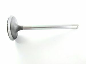 VALVE EXHAUST