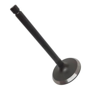 VALVE EXHAUST