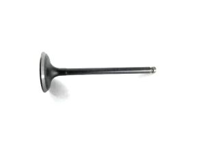 VALVE EXHAUST