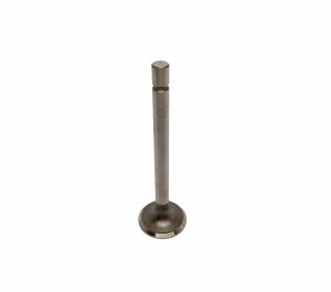 VALVE EXHAUST