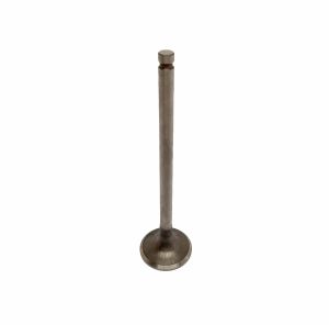 VALVE EXHAUST