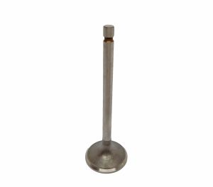 VALVE EXHAUST