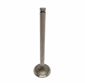 VALVE EXHAUST