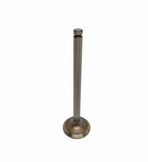 VALVE EXHAUST