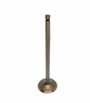 VALVE EXHAUST