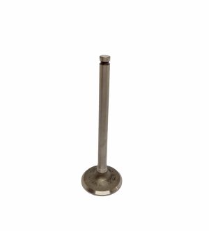 VALVE EXHAUST
