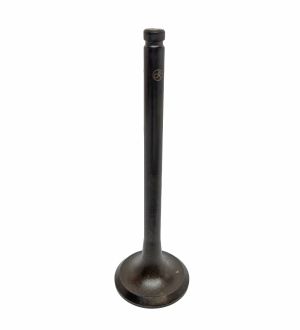 VALVE EXHAUST