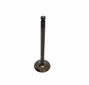 VALVE EXHAUST