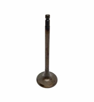 VALVE EXHAUST