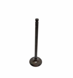 VALVE EXHAUST