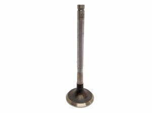 VALVE EXHAUST