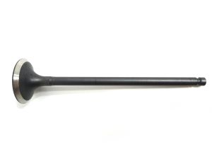 VALVE EXHAUST