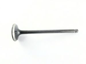 VALVE EXHAUST