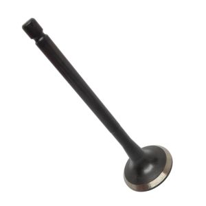 VALVE EXHAUST