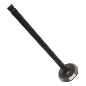 VALVE EXHAUST