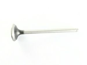 VALVE EXHAUST