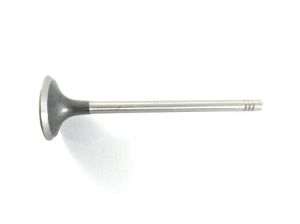 VALVE EXHAUST