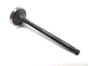 VALVE EXHAUST