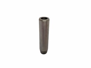 GUIDE-VALVE INTAKE