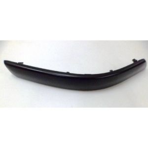 REAR BUMPER MOLDING
