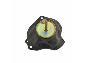 DIAPHRAGM
