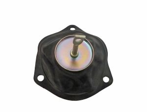 DIAPHRAGM