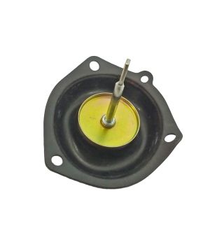 DIAPHRAGM