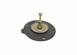 DIAPHRAGM