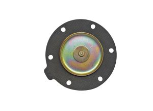 DIAPHRAGM