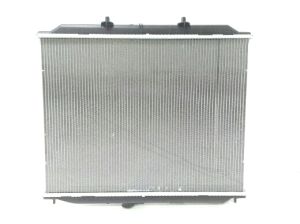 RADIATOR WATER