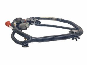 HARNESS